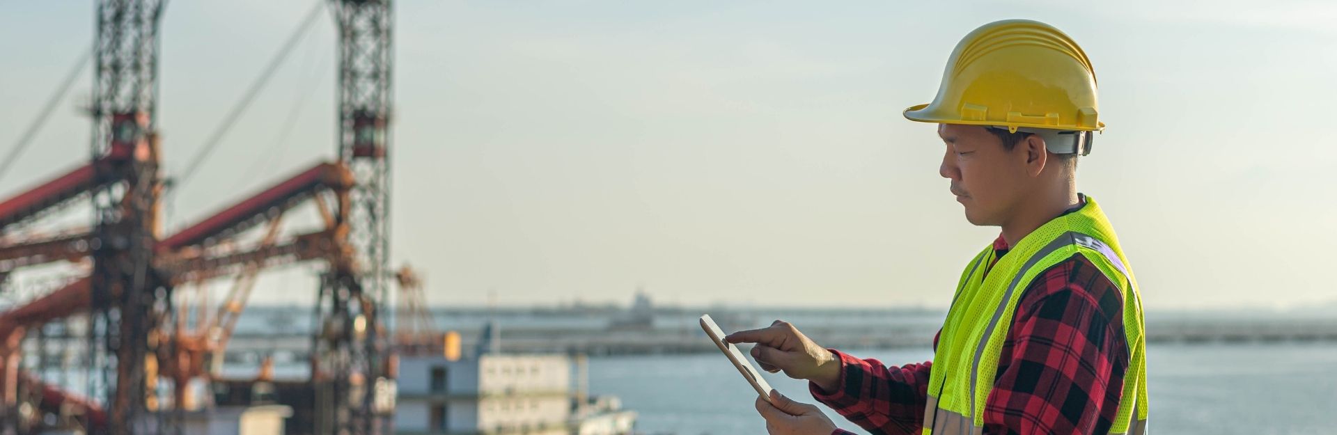 Banner rischio di cambio-dekstop